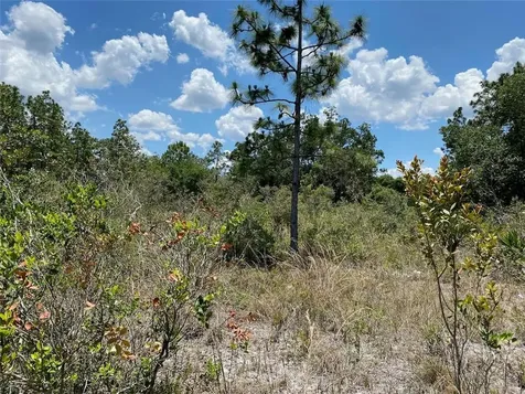 Lot 24 Indian Lake Drive Indian Lake Estates FL