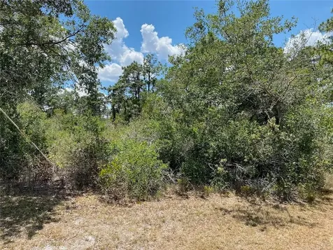 Lot 24 Indian Lake Drive Indian Lake Estates FL