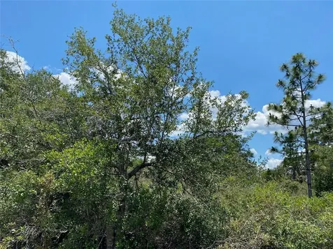 Lot 24 Indian Lake Drive Indian Lake Estates FL