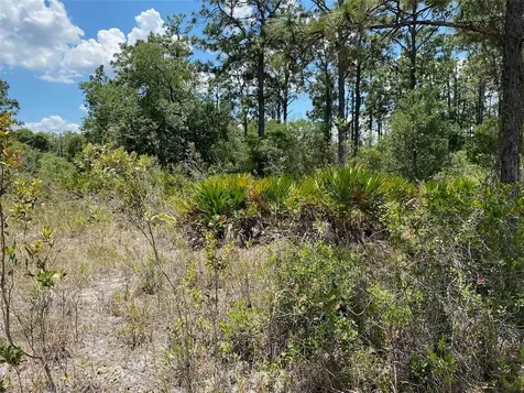 Lot 24 Indian Lake Drive Indian Lake Estates FL