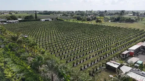 20850 SW 210th Street Miami FL 33187