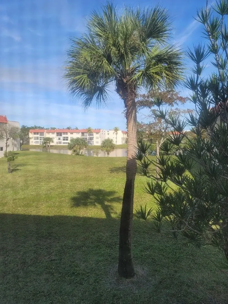 2951 E Sunrise Lakes Drive Sunrise FL 33322