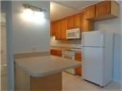 200 S Birch Fort Lauderdale FL 33316