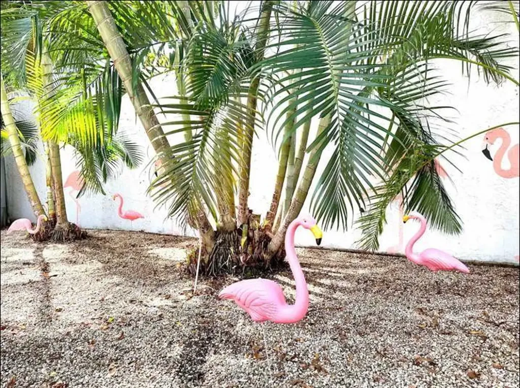 3232 NE 15th Street Pompano Beach FL 33062