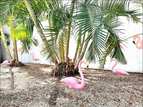 3232 NE 15th Street Pompano Beach FL 33062