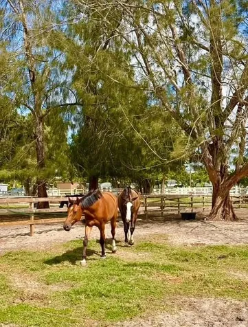 12100 NW 27th Court Plantation FL 33323