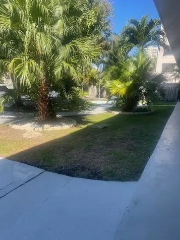 Hallandale Beach FL 33009