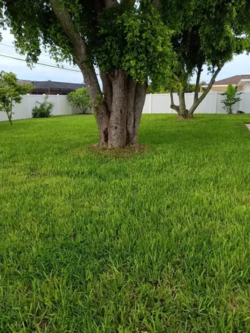 137 SE Santa Barbara Place Cape Coral FL 33990