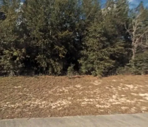 Lot 5 138 Lane Ocala FL 34473