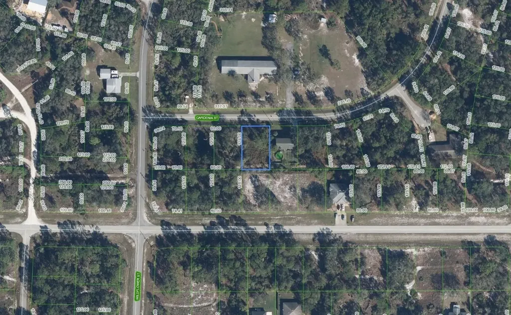 805 Gardenia Street Lake Placid FL 33852