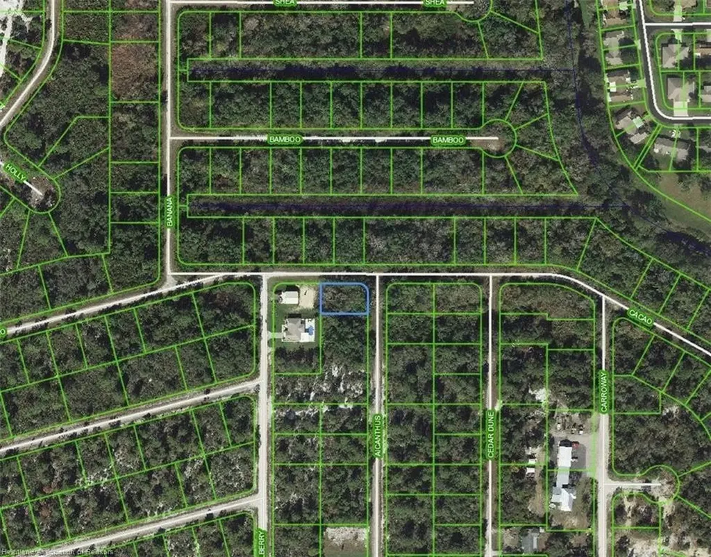 1218 Ailanthus Street Lake Placid FL 33852