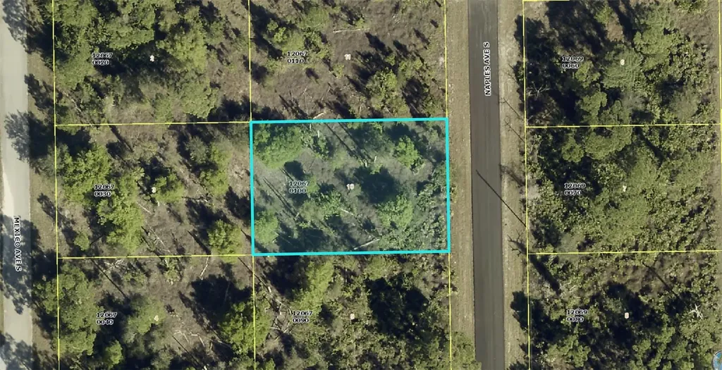1012 Naples Avenue Lehigh Acres FL 33974