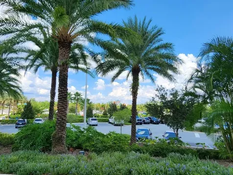 8143 Coconut Place Kissimmee FL 34747