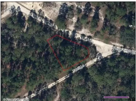 428 Tahiti Lane Lake Placid FL 33852