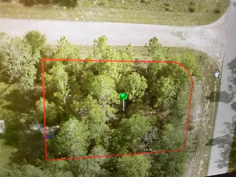 6689 N Bedstrow Boulevard Citrus Springs FL 34434