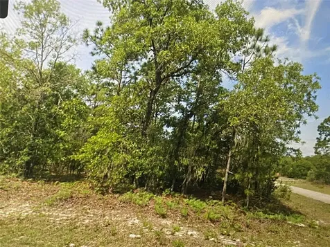 6689 N Bedstrow Boulevard Citrus Springs FL 34434