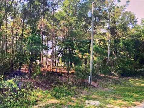 684 W Pitler Place Citrus Springs FL 34434