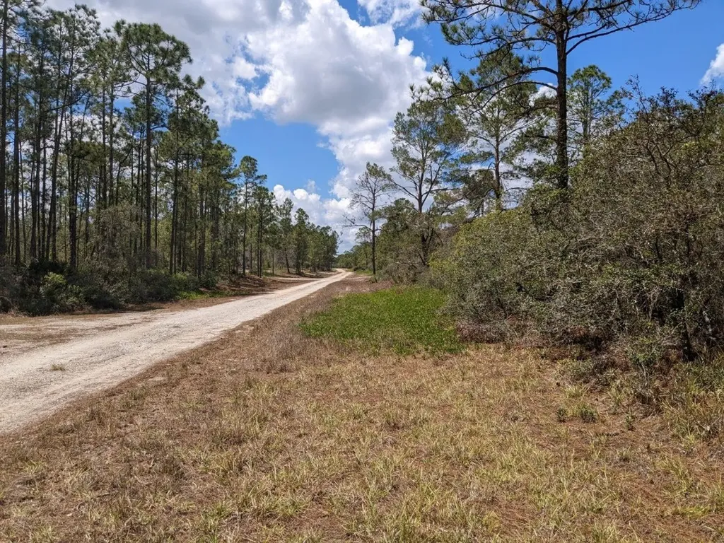 430 Apple Blossom Avenue Lake Placid FL 33852