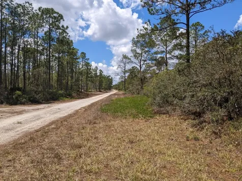 430 Apple Blossom Avenue Lake Placid FL 33852