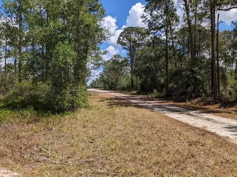 430 Apple Blossom Avenue Lake Placid FL 33852