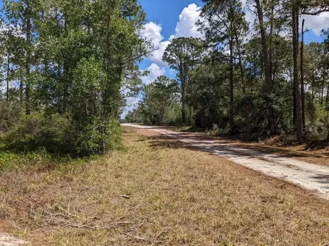 430 Apple Blossom Avenue Lake Placid FL 33852