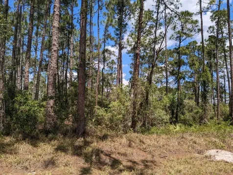 430 Apple Blossom Avenue Lake Placid FL 33852