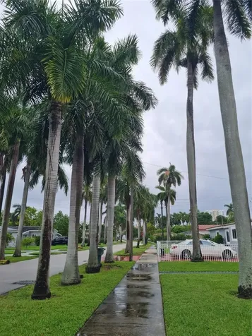 906 NE 3 Street Hallandale Beach FL 33009