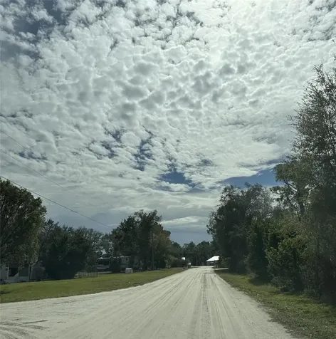 224 Brant Avenue Sebring FL 33870