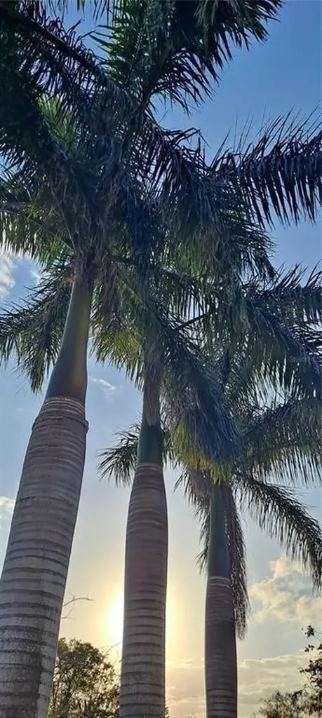 3321 38th Avenue Okeechobee FL 34974