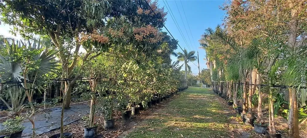 3321 38th Avenue Okeechobee FL 34974