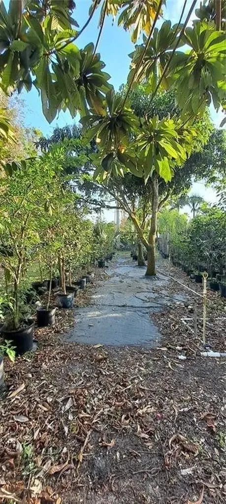 3321 38th Avenue Okeechobee FL 34974
