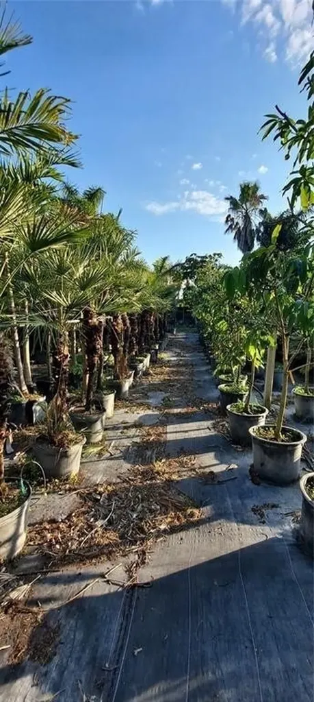 3321 38th Avenue Okeechobee FL 34974