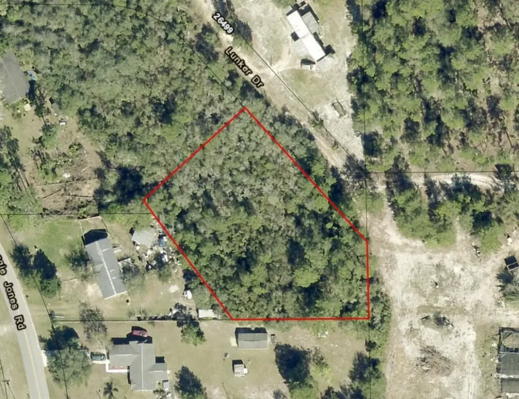 0 Lunker Drive Paisley FL 32767