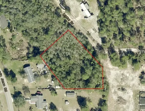 0 Lunker Drive Paisley FL 32767