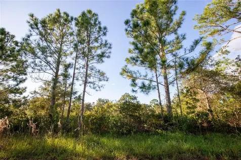 754 American Street Lake Placid FL 33852
