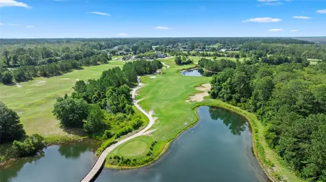 85073 Bostick Wood Drive Fernandina Beach FL 30234