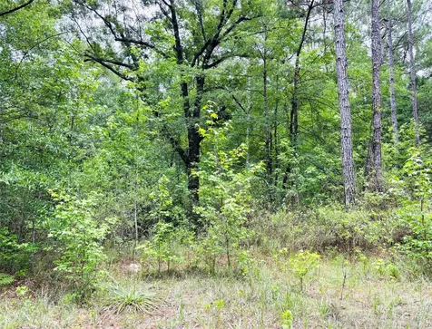 0 Lake Hampton Road Hilliard FL 32046
