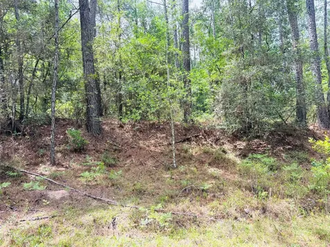 0 Lake Hampton Road Hilliard FL 32046