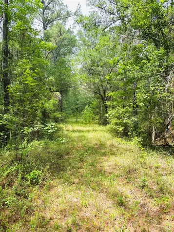 0 Lake Hampton Road Hilliard FL 32046