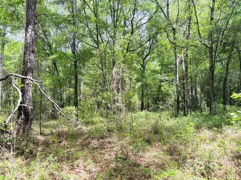 0 Lake Hampton Road Hilliard FL 32046