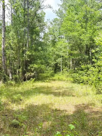0 Lake Hampton Road Hilliard FL 32046