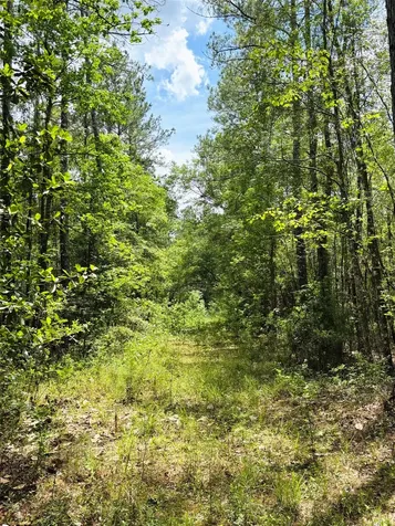 0 Lake Hampton Road Hilliard FL 32046