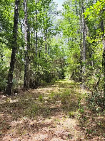 0 Lake Hampton Road Hilliard FL 32046