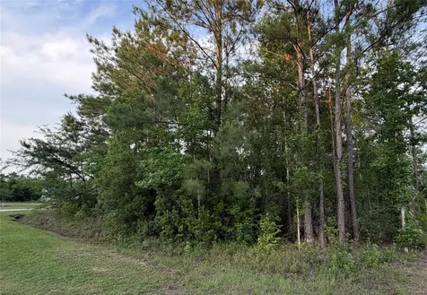 44046 Little Sweetgum Lane Callahan FL 32011