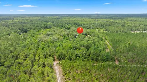 1300 Boyd Road Bryceville FL 32009