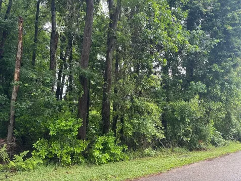 0 Cashen Drive Fernandina Beach FL 32034