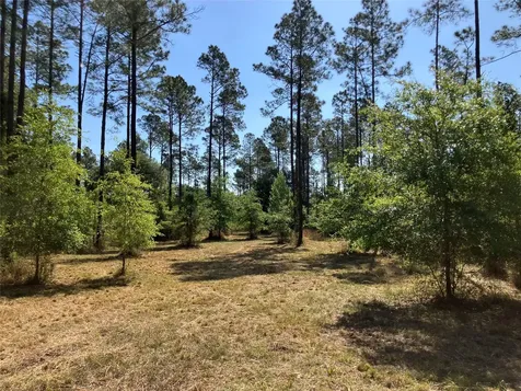 0 Prospect Landing Hilliard FL 32046