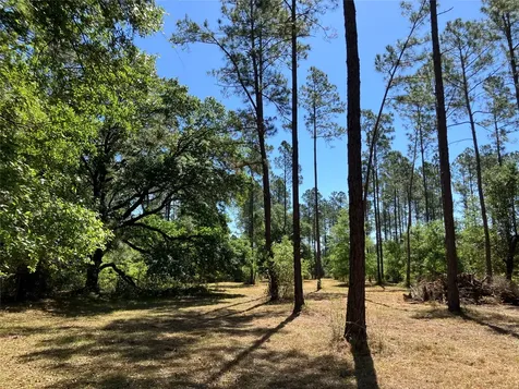 0 Prospect Landing Hilliard FL 32046