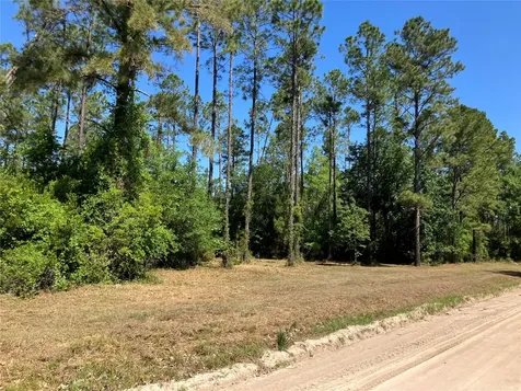 0 Prospect Landing Hilliard FL 32046