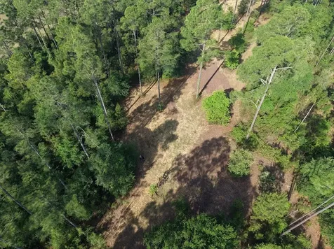 0 Prospect Landing Hilliard FL 32046